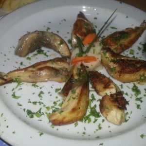 tiras de dorado
