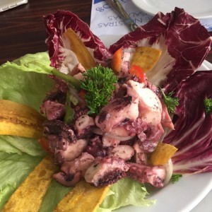 Pulpo entrada