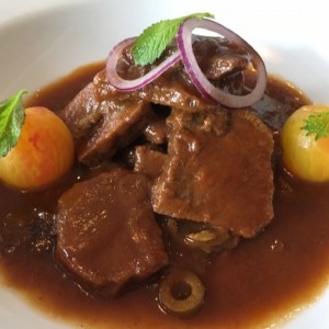 lengua