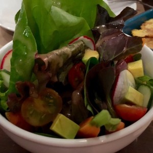 Ensalada mixta del huerto