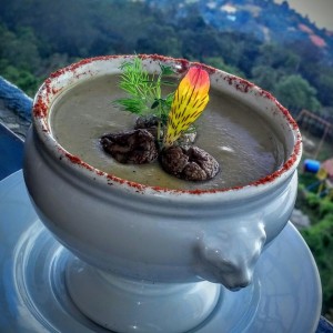crema de hongos 