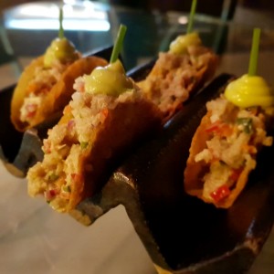Spicy tuna Tacos