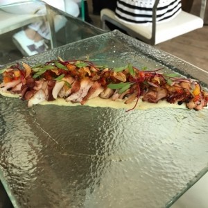 pulpo