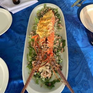 langosta
