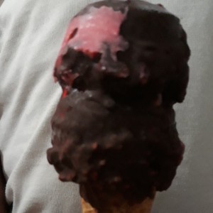 Barquilla de Fresa con Capa de Chocolate, Excelente