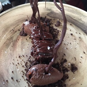 Postre de Chocolate