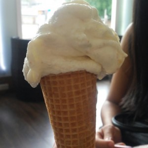 Barquilla de Guanabana Passion