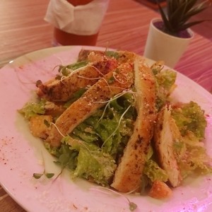 Cesar con pollo