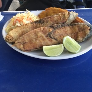 rueda de pescado