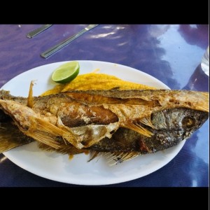 pescado frito (curbina)
