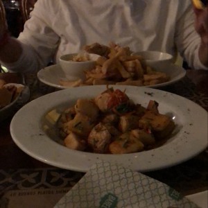 papas harras