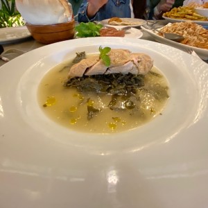 pollito