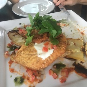milanesa parmigiana