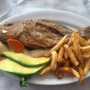 Coro Coro con papitas y ensalada mixta