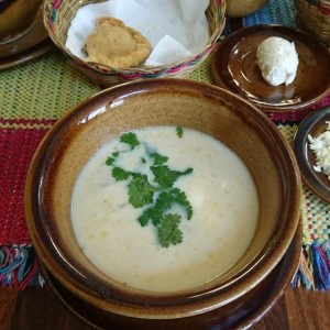Pisca Andina
