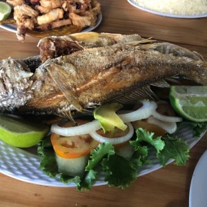 Pargo