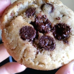 Chocolate Chip
