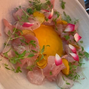 Crudo