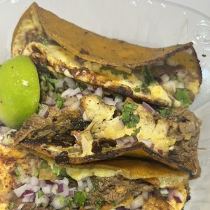 Tacos Birria