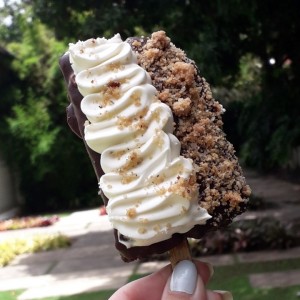Brownie Pop de Praline