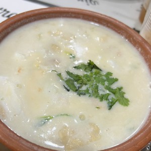 Pisca Andina