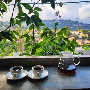 Filtrado de Kalita