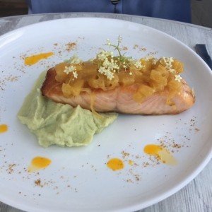 salmon
