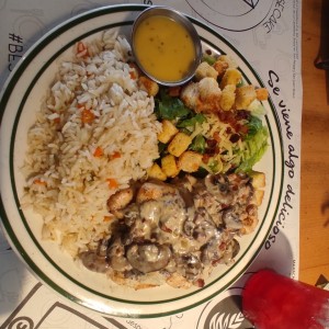 POLLO - POLLO STROGONOFF