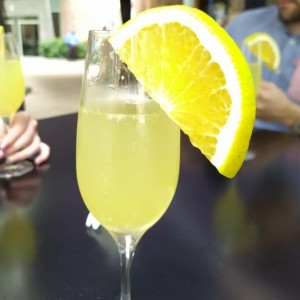 Mimosa