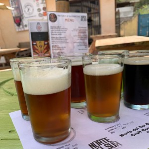 Degustacion de cervezas artesanales 