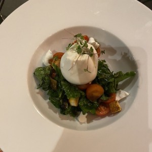 Burratta