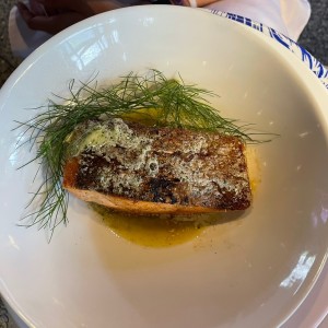 Salmon