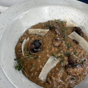 Risotto Funghi