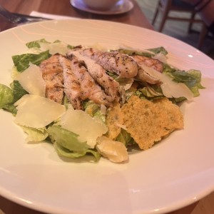 Grilled Chicken Caesar Salad