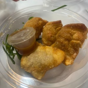 Wonton