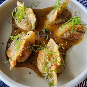Gyozas rellenas de res
