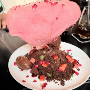 Bonsai de chocolate 