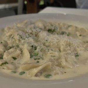 Tortelini en salsa grana padani