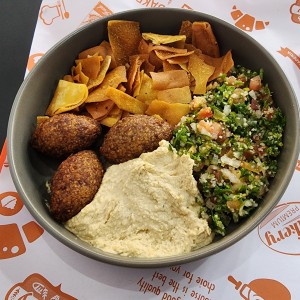 Plato habibi