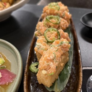 Dados de salmon 