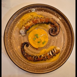 Octopus legs