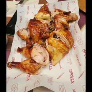 Pollo 