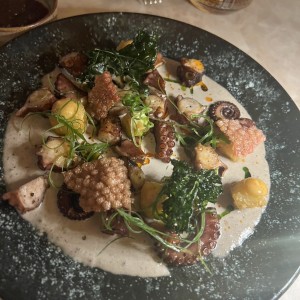 Pulpo