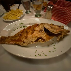 pargo clasico