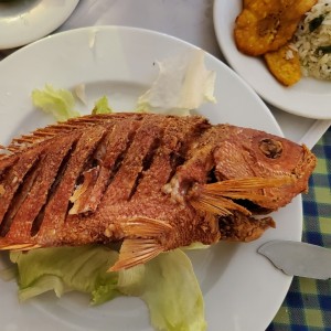 Parguito frito