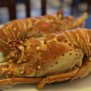 Langosta 