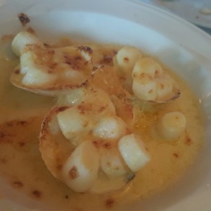 coquilles de vieiras