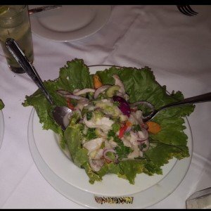 ceviche de mero