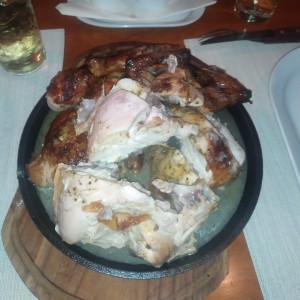 Pollo