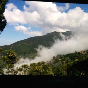 Paisaje desde el restaurante